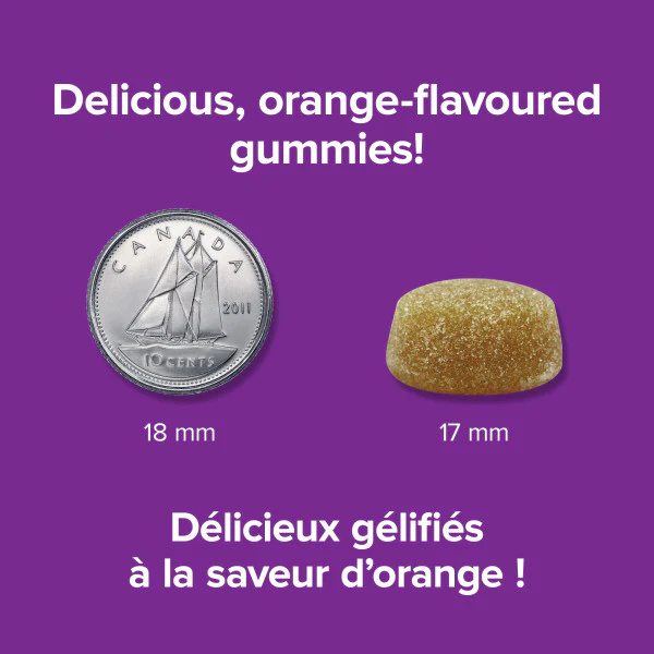 Gentle Iron Gummies - Image 2