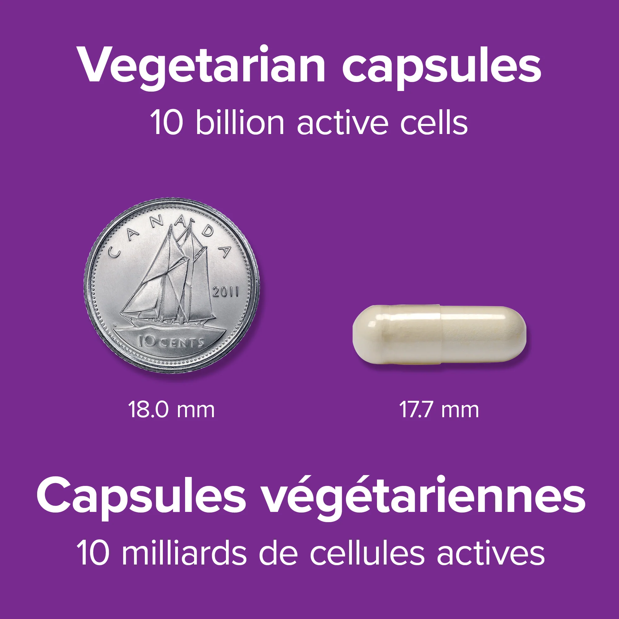 Probiotic 10 Billion 5 Probiotic Strains - Image 2