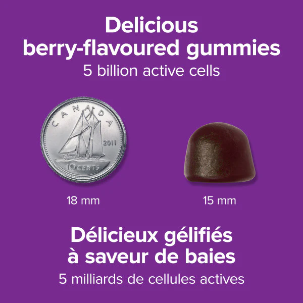 Probiotic 5 Billion Gummies - Image 2