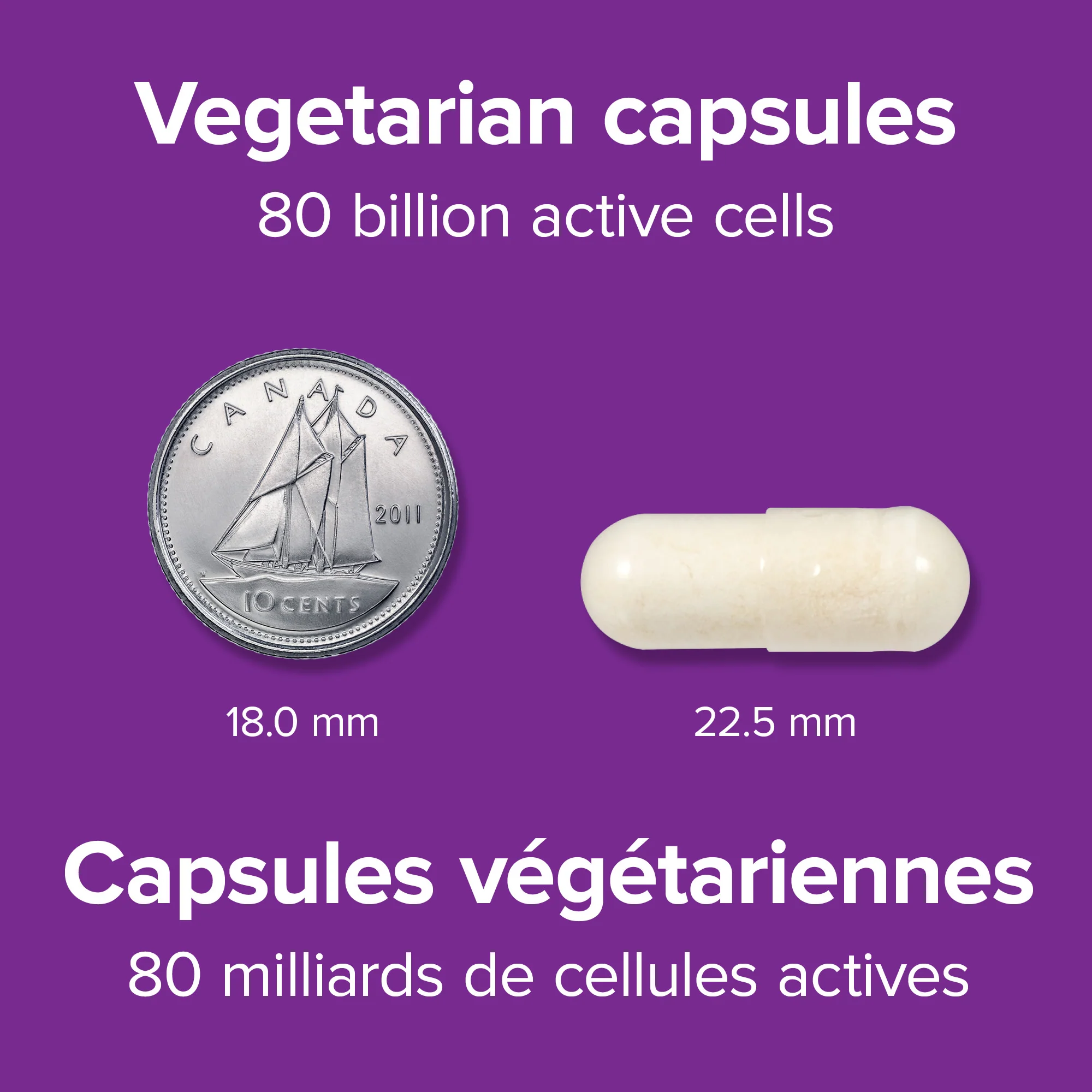 Probiotic 80 Billion 8 Probiotic Strains - Image 2