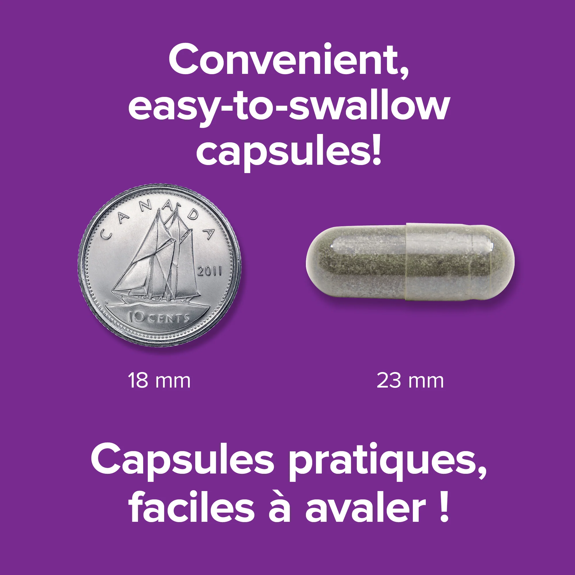 St. John’s Wort 300 mg - Image 2